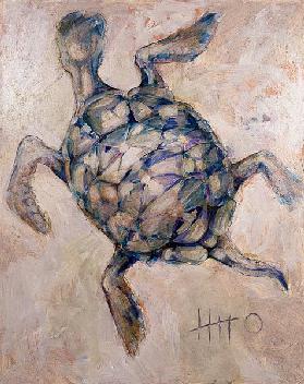 Schildkröte 1998