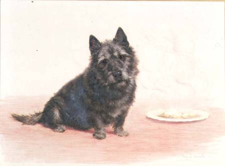 Suppertime - A Scottish Terrier Seated by a Plate von Maud Earl