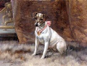 The Pink Bow 1898