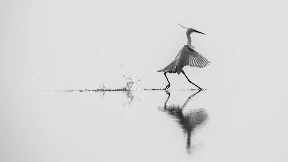 Dancing on the water von mauro rossi
