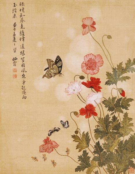 Mohnblumen und Schmetterlinge 1702