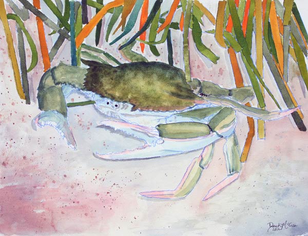 Crab 1 von Derek McCrea