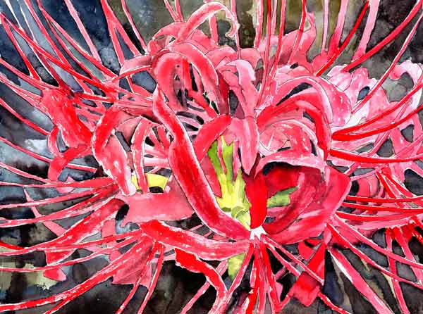 Red spider lily von Derek McCrea