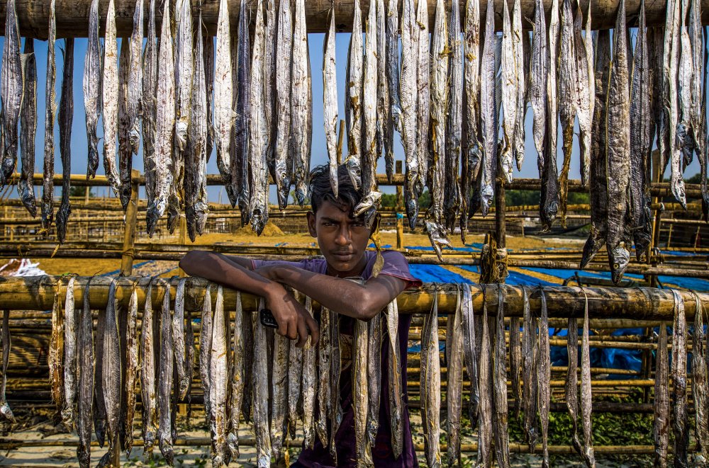 Ein Arbeiterjunge aus getrocknetem Fisch von Md. Sharif Uddin