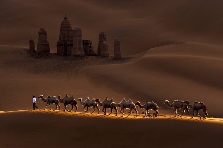 Castle and Camels von Mei Xu