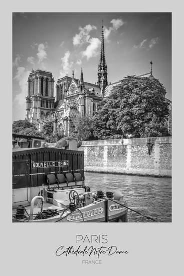 Im Fokus: PARIS Kathedrale Notre-Dame