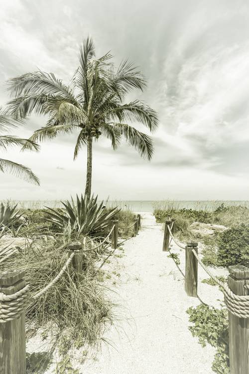 Weg zum Strand - Palmen & Meer | Vintage von Melanie Viola