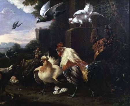 A cockerel and other fowl in a landscape von Melchior de Hondecoeter