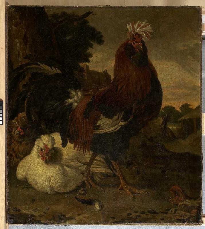 Hahn und zwei Hennen. von Melchior de Hondecoeter