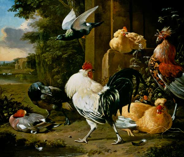 Taube und Geflügel in einem Garten von Melchior de Hondecoeter