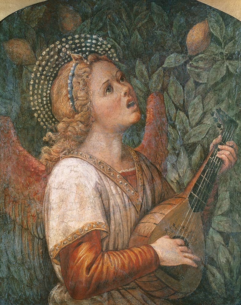 Angel Musician von Melozzo da Forli