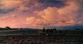 In the Field 1872