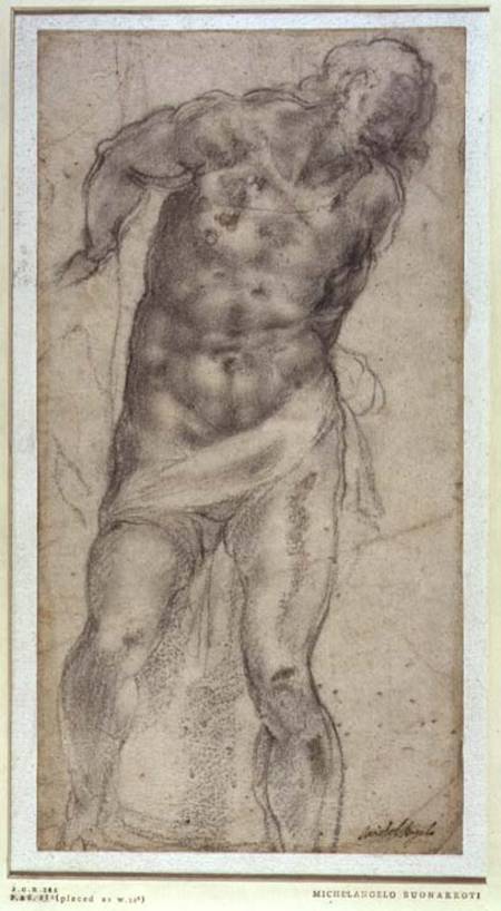 Figure Study (W.15a Pouncey catalogue 276) von Michelangelo (Buonarroti)