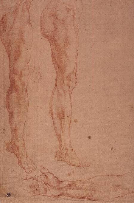 Studies of Legs and Arms von Michelangelo (Buonarroti)