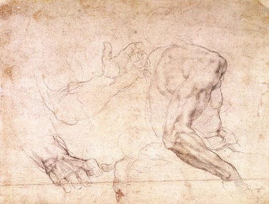 Studies of hands and an arm(verso) von Michelangelo (Buonarroti)