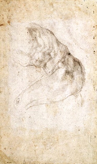 Study for The Creation of Adam(verso) (for recto see 191766) von Michelangelo (Buonarroti)