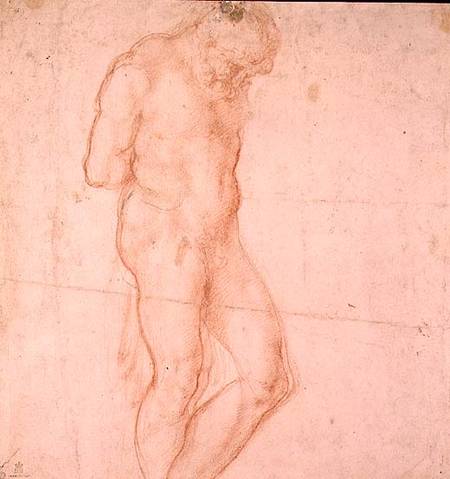 Study of a Nude (red chalk) Inv.1896/7/10/1 Verso (W.64) von Michelangelo (Buonarroti)