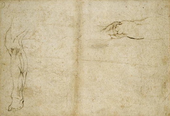 Study of a human leg, 16th century von Michelangelo (Buonarroti)