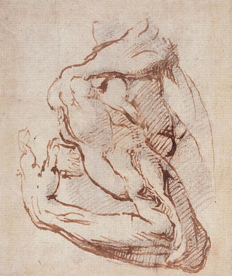 Study of an Arm Inv.1859/5/14/819 (W.49) von Michelangelo (Buonarroti)