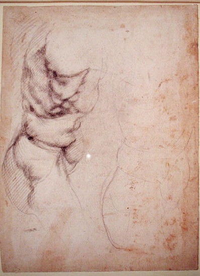 Study of torso and buttock von Michelangelo (Buonarroti)