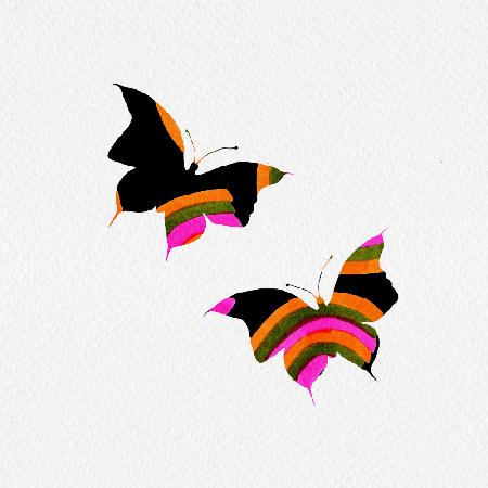 Regenbogen-Schmetterlinge