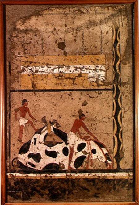 Funerary sacrifice of a bull, from the Tomb of Iti von Middle Kingdom Egyptian