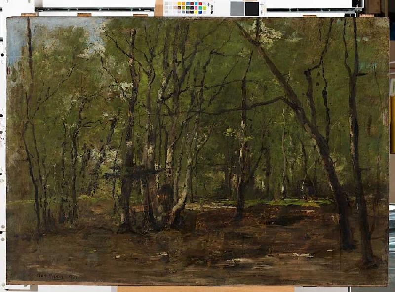 Waldlandschaft (Studie zu Die Pfauen) von Mihály Munkácsy