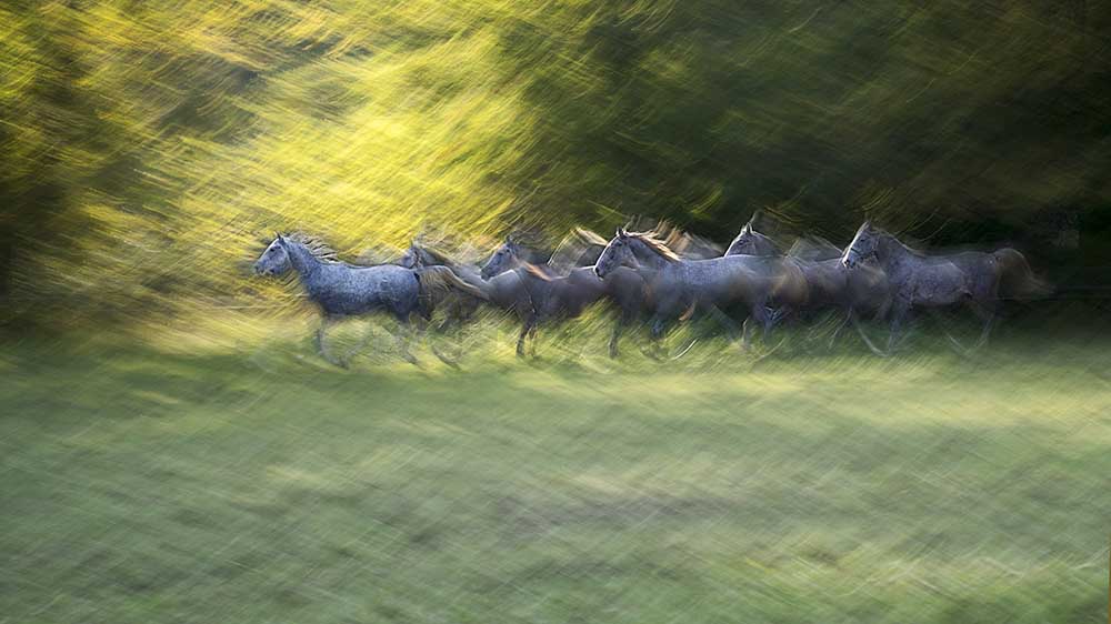 Herbstzeit von Milan Malovrh