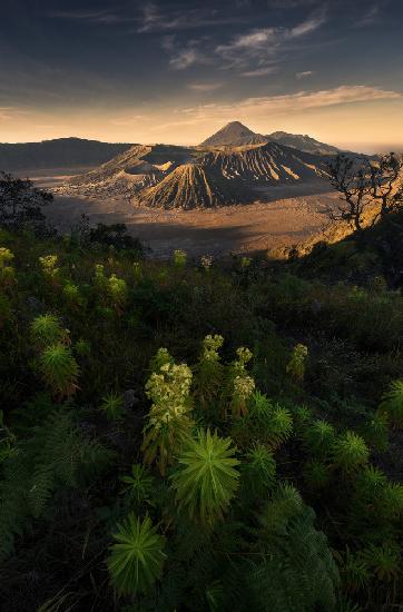 Bromo-Vulkan-Nationalpark