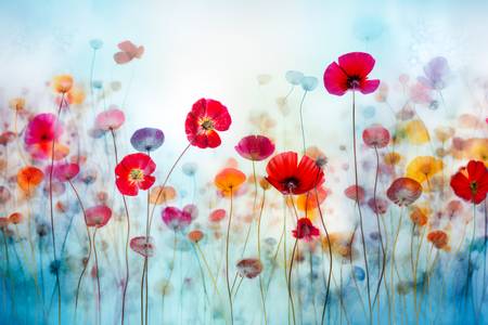 Blaue Blumenwiese mit bunten Blumen, Stillleben, digital Kunst 2025