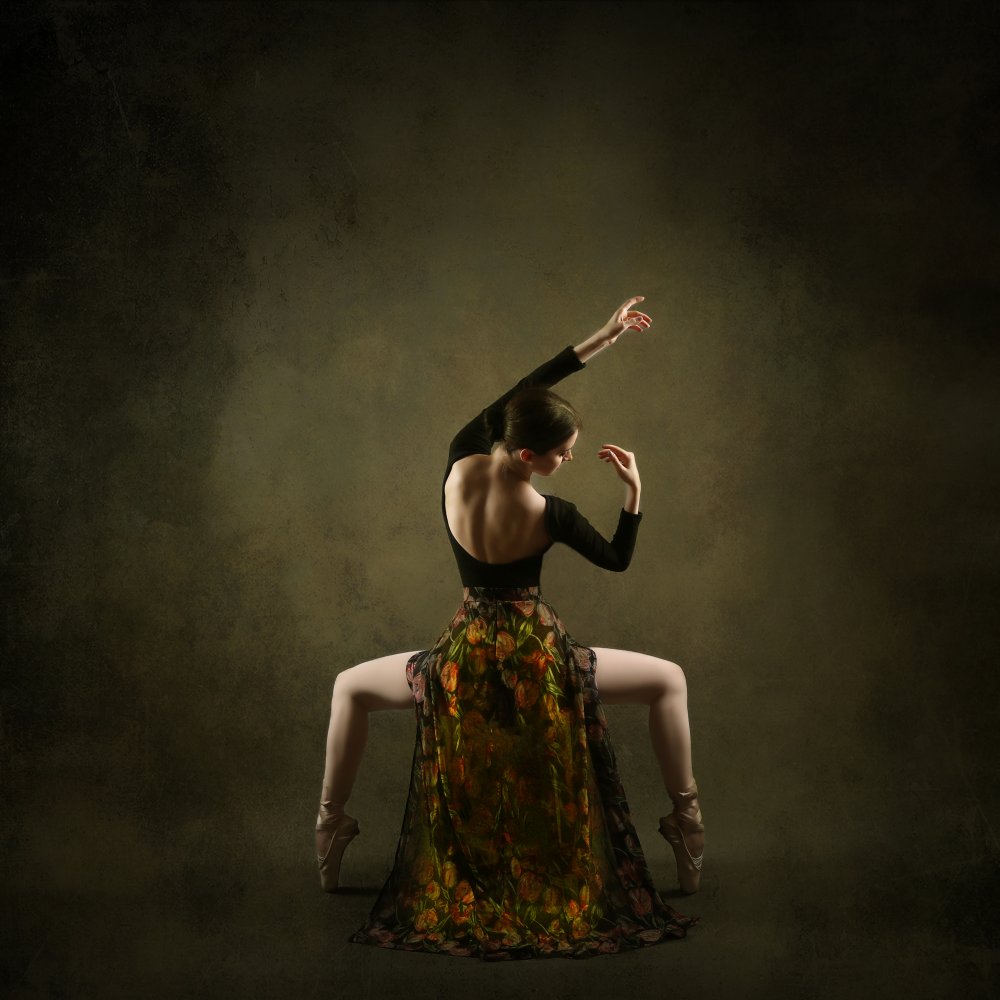 Persischer Tänzer von Moein Hasheminasab