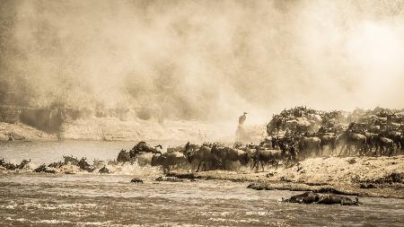 Das Wunder der Natur (Die große Migration)