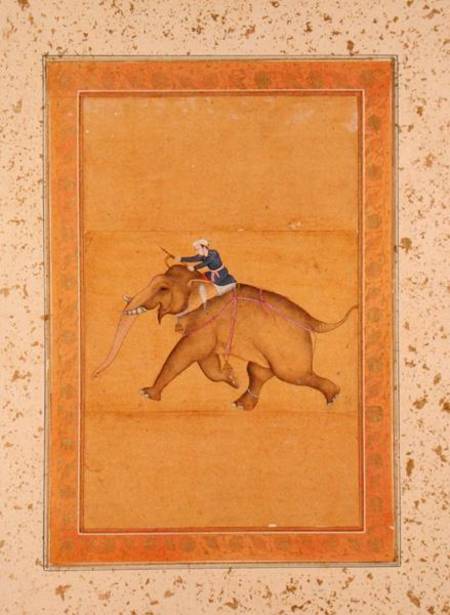 A Mahout riding an Elephant, from the Large Clive Album von Mughal School