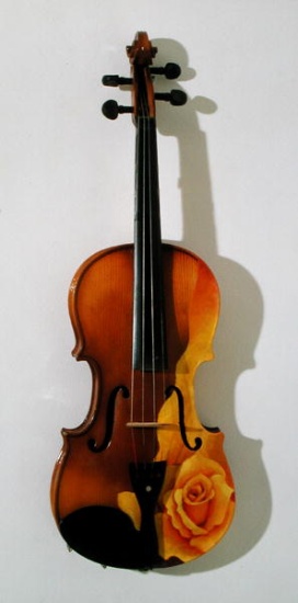 The Rose of Violin von Myung-Bo  Sim