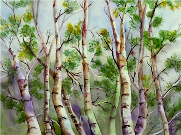 Spring Birches von Neela Pushparaj