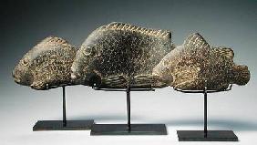 Three fish 1540-1069