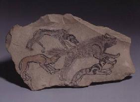 Ostracon depicting a dog chasing a hyena
