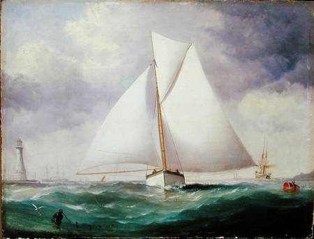 The Spinnaker Sail von Nicholas Matthews Condy