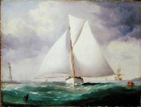 The Spinnaker Sail