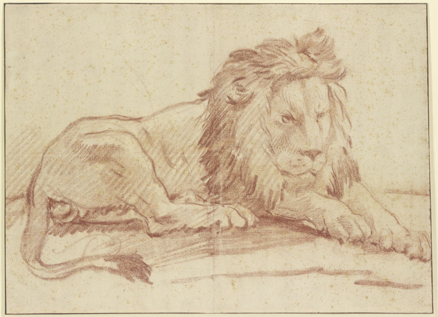 Ein liegender Löwe nach rechts von Nicolas Guibal