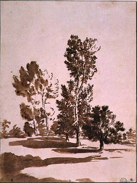 Tree Study (pen & ink on paper) von Nicolas Poussin