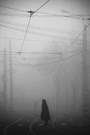 Tage voller Nebel