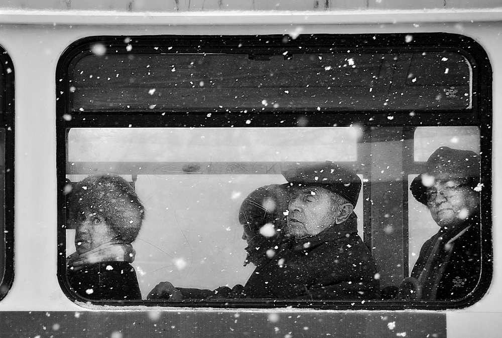 Winterpassagiere von Nicoleta Gabor