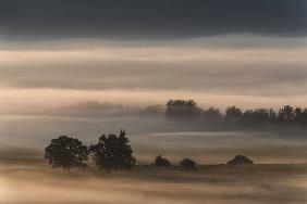 Dense fog over the moos...