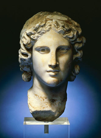 A Marble Head Of A Young Man, Possibly Apollo von 