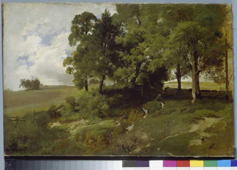 Baumlandschaft, um 1880/85 von 