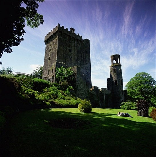 Blarney Castle, near Cork von 