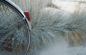 Bicycle at grass , Lausanne, Switzerland (photo) 