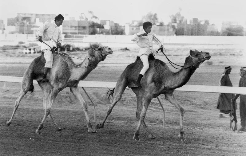Camel race in Saudi Arabia in honour of Queen Elizabeth II's visit to to the Middle East von 