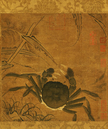 Crab Among Grass And Bamboo von 